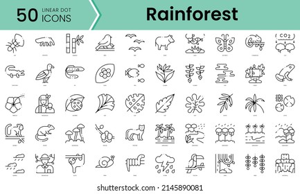 Set of rainforest icons. Line art style icons bundle. vector illustration