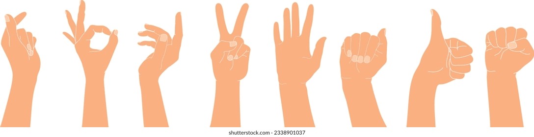 Set of raised human hands with different gestures. Isolated vector illustration of human hands