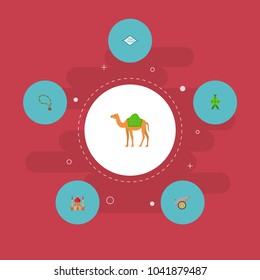 Set of ramadan icons flat style symbols with camel, eid mubarak, ketupat and other icons for your web mobile app logo design.