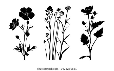 Set of Random Black and White Floral Silhouette Illustration