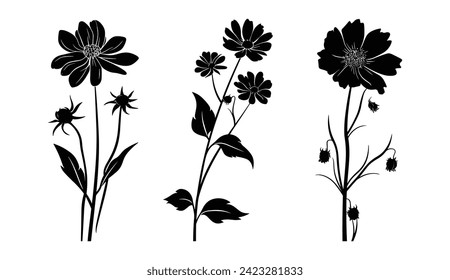 Juego de Ilustración aleatoria de silueta floral blanca y negra