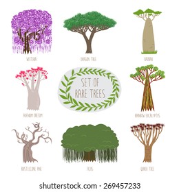 Set of rare trees in vector (Wisteria, Dragon tree, Baobab, Adenium Obesum, Ranbow Eucalyptus, Bristlecone pine, Ficus, Quiver tree).