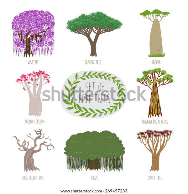 set rare trees vector wisteria 600w 269457233