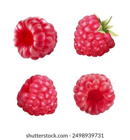 A set of raspberries in different angles on a white background. Vector illustration