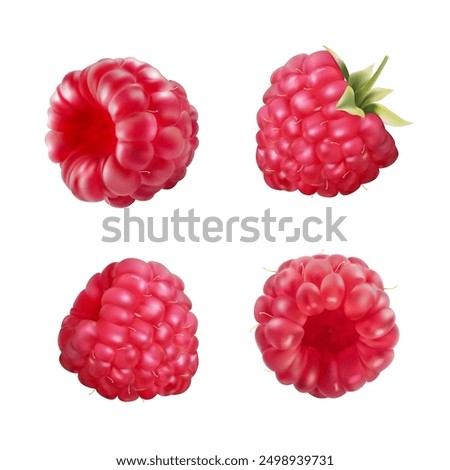 Similar – Image, Stock Photo Raspberries Raspberry