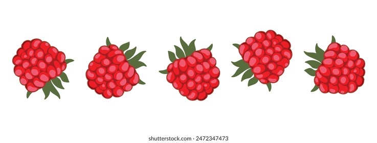 Set of raspberries. Ripe raspberry with sepals on a white background. Raspberry close-up. Ideal for food and marketing related projects. Vector.