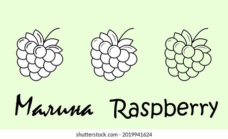 A set of raspberry fruit objects with the inscription "raspberry" in Russian and English. Simple vector illustration, eps