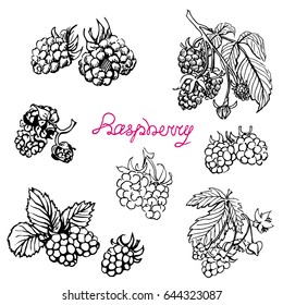 Set Raspberry. Hand drawn sketch graphics elements