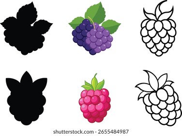conjunto de silhueta de framboesa vetor ilustração de arte de linha.
