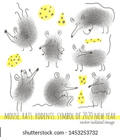 Set of rat, mouse, cheese. The symbol of 2020. Drawn by hand in the style of the sketch. Isolated vector.
