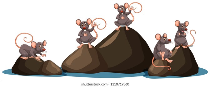 A Set of Rat on White Background illustration