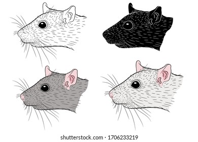 Set von Rattenportrait einzeln auf weißem Hintergrund. Vektorillustration.