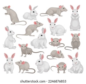 Conjunto de rata y conejo. Vector de dibujos animados de ratones y harinas grises