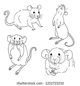 Set of rat sketches on white background. Collection of rodents in doodle style.