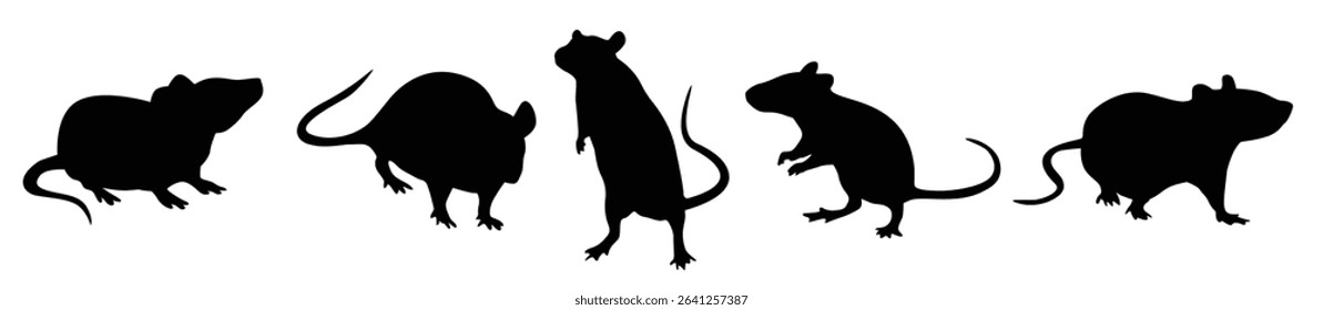 Set of rat vector illustration