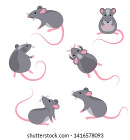 Set of rats characters isolated on white. Vector illustration. Symbols of 2020 Chinese New Year.