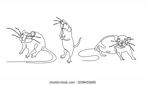 Set of rats in continuous line art drawing style. Mouse minimalistic black line sketch on white background. Vector illustration