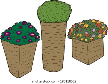 Set of rattan planters with plants on isolated background