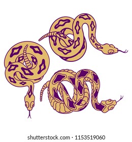 Set of rattlesnakes. Hand drawn lineart vector illustration. Can be used for posters, prints and others craft. 