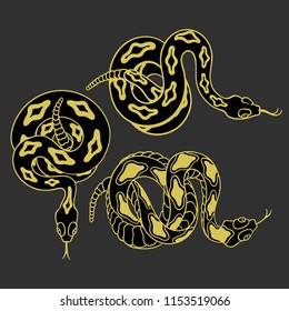 Set of rattlesnakes. Hand drawn lineart vector illustration on a grey background. Can be used for posters, prints and others craft. 