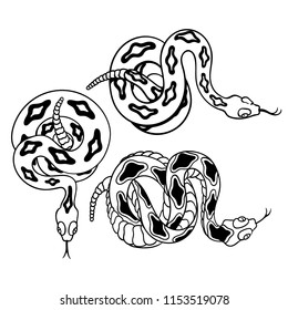 Set of rattlesnakes. Hand drawn lineart vector illustration. Can be used for posters, prints and others craft. 