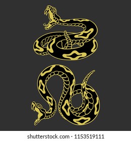 Set of rattlesnakes. Hand drawn lineart vector illustration on a gray background. Can be used for posters, prints and others craft. 