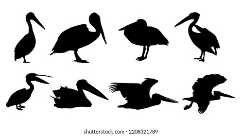 Set Of Raven Bird Silhouette - Raven Bird Vector Illustration On With Background