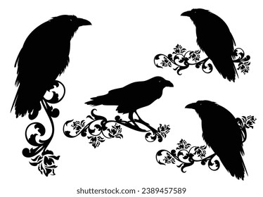 conjunto de siluetas de pájaros cuervos con decoración de flores de rosa - conjunto místico de diseño vectorial en blanco y negro