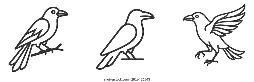 Set of raven line icons in different poses vector illustration on transparent background