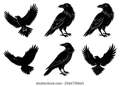 Set of Raven silhouette vector art. Crow bird icon illustration	