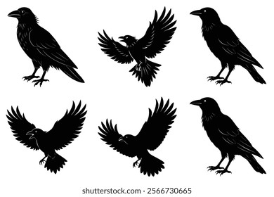 Set of Raven silhouette vector art. Crow bird icon illustration	