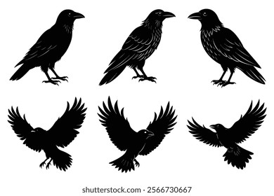 Set of Raven silhouette vector art. Crow bird icon illustration	