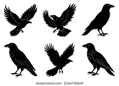 Set of Raven silhouette vector art. Crow bird icon illustration	