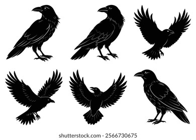 Set of Raven silhouette vector art. Crow bird icon illustration	