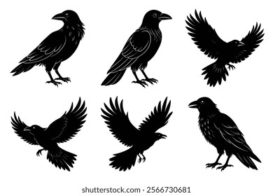 Set of Raven silhouette vector art. Crow bird icon illustration	