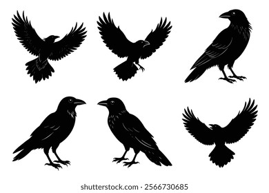 Set of Raven silhouette vector art. Crow bird icon illustration	