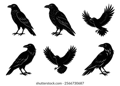 Set of Raven silhouette vector art. Crow bird icon illustration	