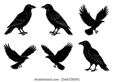 Set of Raven silhouette vector art. Crow bird icon illustration	