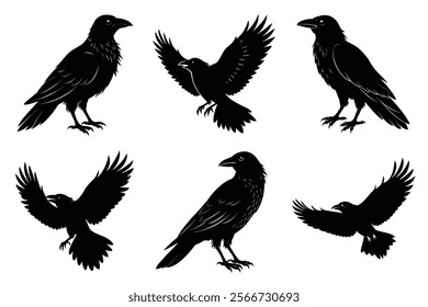 Set of Raven silhouette vector art. Crow bird icon illustration	