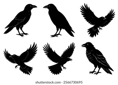 Set of Raven silhouette vector art. Crow bird icon illustration	