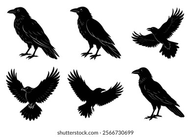 Set of Raven silhouette vector art. Crow bird icon illustration	