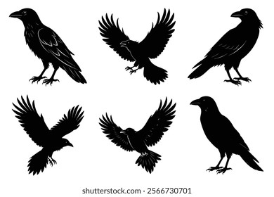 Set of Raven silhouette vector art. Crow bird icon illustration	