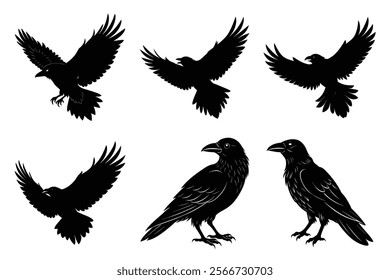 Set of Raven silhouette vector art. Crow bird icon illustration	