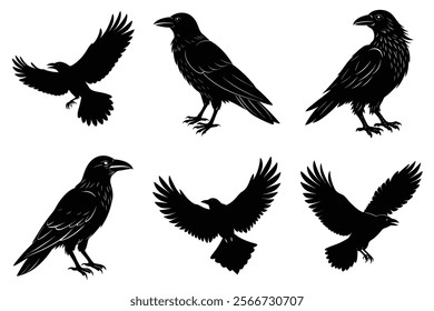 Set of Raven silhouette vector art. Crow bird icon illustration	