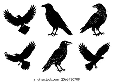 Set of Raven silhouette vector art. Crow bird icon illustration	