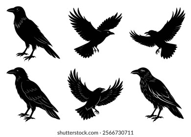 Set of Raven silhouette vector art. Crow bird icon illustration	