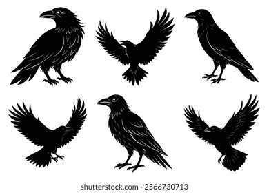 Set of Raven silhouette vector art. Crow bird icon illustration	