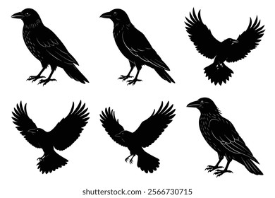 Set of Raven silhouette vector art. Crow bird icon illustration	