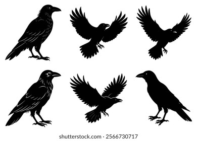 Set of Raven silhouette vector art. Crow bird icon illustration	