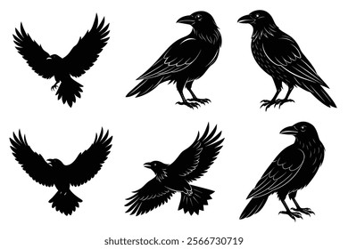 Set of Raven silhouette vector art. Crow bird icon illustration	